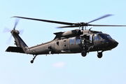 161238 - Sweden - Air Force Sikorsky UH-60M Black Hawk aircraft