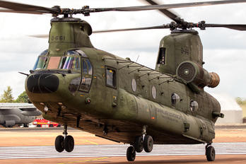 D-661 - Netherlands - Air Force Boeing CH-47D Chinook