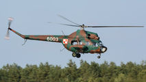 6003 - Poland - Army Mil Mi-2 aircraft