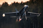 HN-421 - Finland - Air Force McDonnell Douglas F-18C Hornet aircraft