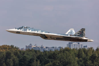 051 - Sukhoi Design Bureau Sukhoi T-50