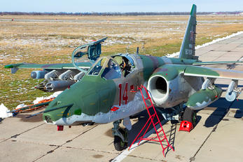 14 - Russia - Air Force Sukhoi Su-25SM3