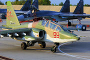 RF-91982 - Russia - Air Force Sukhoi Su-25UB aircraft