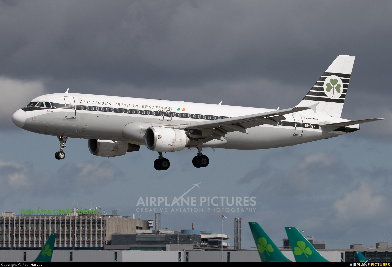 Aer Lingus EI-DVM aircraft at Dublin