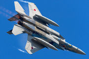 72-8090 - Japan - Air Self Defence Force Mitsubishi F-15DJ aircraft