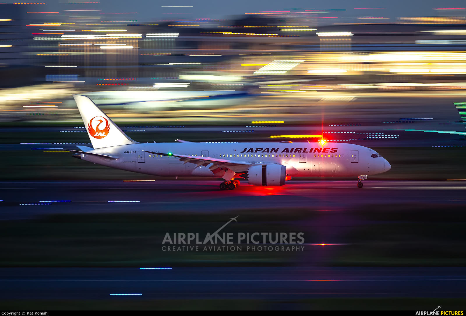 JAL - Japan Airlines JA831J aircraft at Tokyo - Haneda Intl