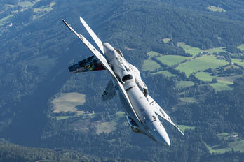 J-5017 - Switzerland - Air Force McDonnell Douglas F/A-18C Hornet