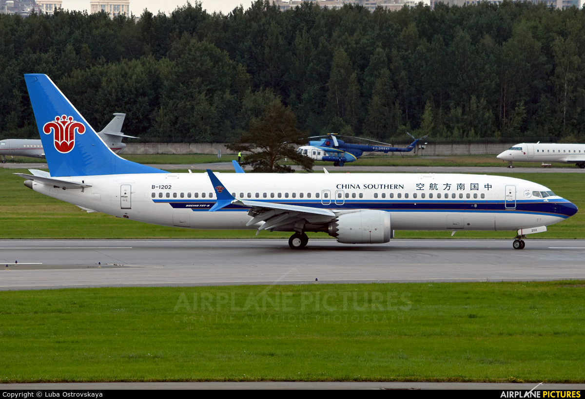 China Southern Airlines B-1202 aircraft at St. Petersburg - Pulkovo
