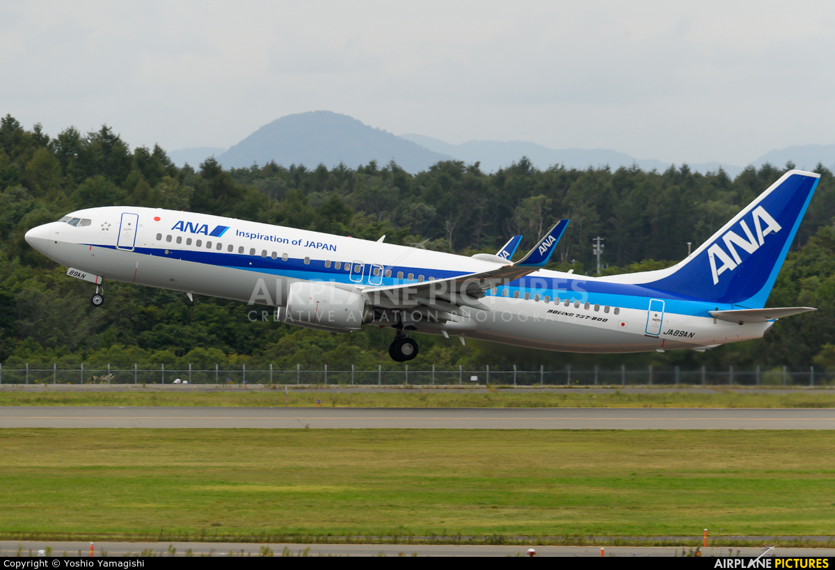 ANA - All Nippon Airways JA89AN aircraft at New Chitose