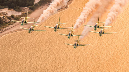 8820 - Saudi Arabia - Air Force: Saudi Hawks British Aerospace Hawk T.1/ 1A