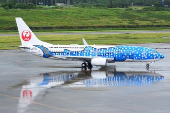 JA05RK - JAL - Japan Transocean Air Boeing 737-800