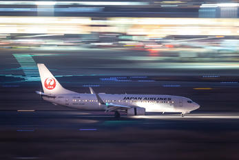 JA307J - JAL - Japan Airlines Boeing 737-800