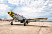 N5428V - American Airpower Heritage Museum (CAF) North American P-51D Mustang aircraft