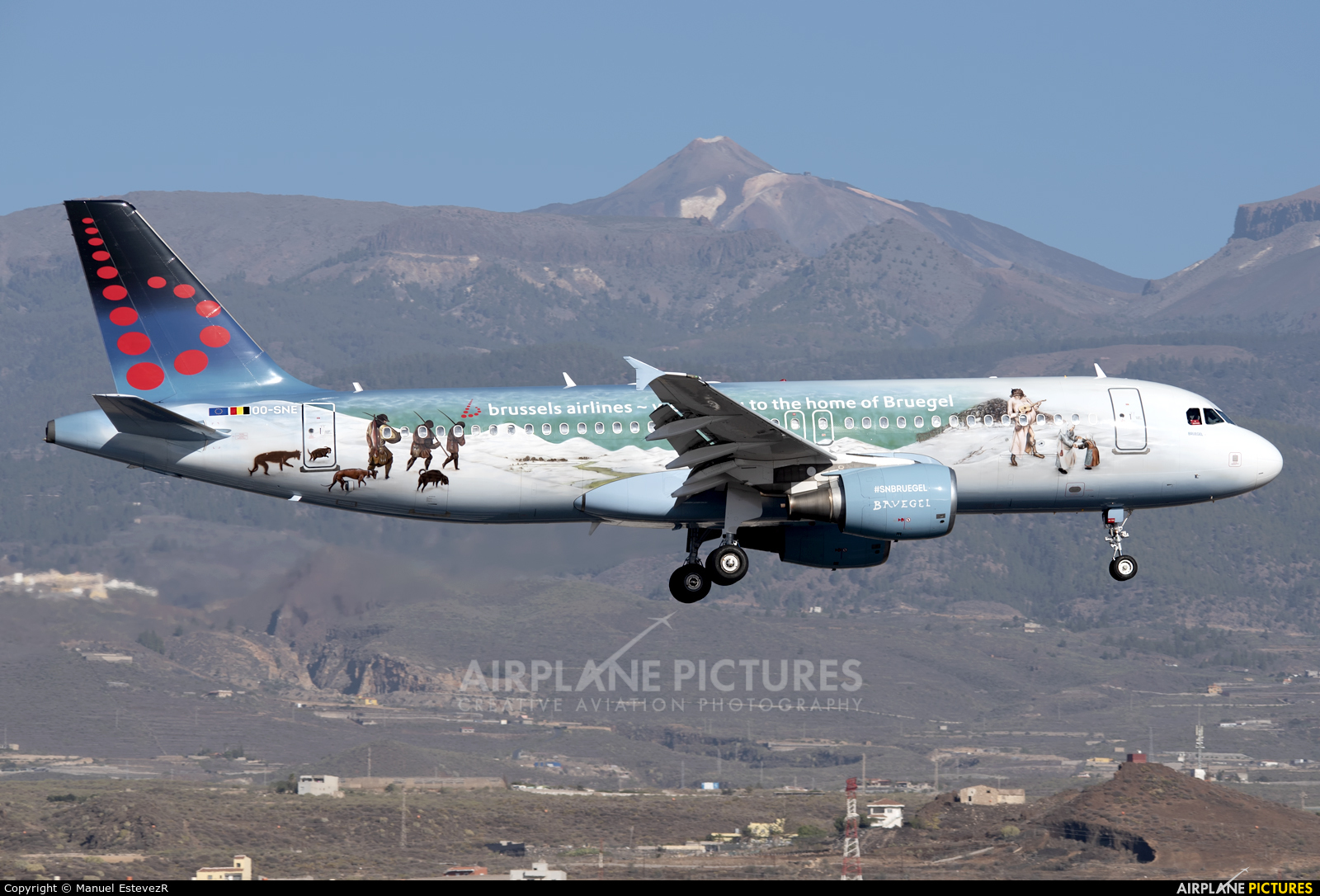 Brussels Airlines OO-SNE aircraft at Tenerife Sur - Reina Sofia