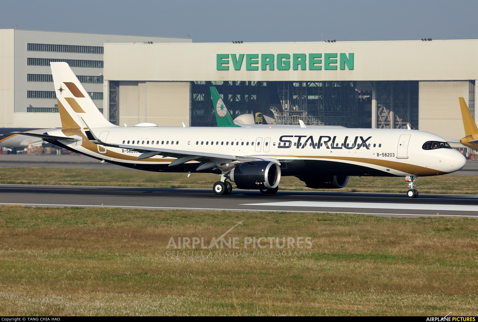 Starlux Airlines B-58203 aircraft at Taipei - Taoyuan Intl