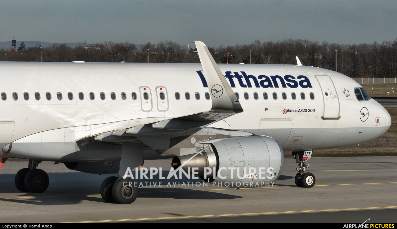 Lufthansa D-AIUT aircraft at Frankfurt