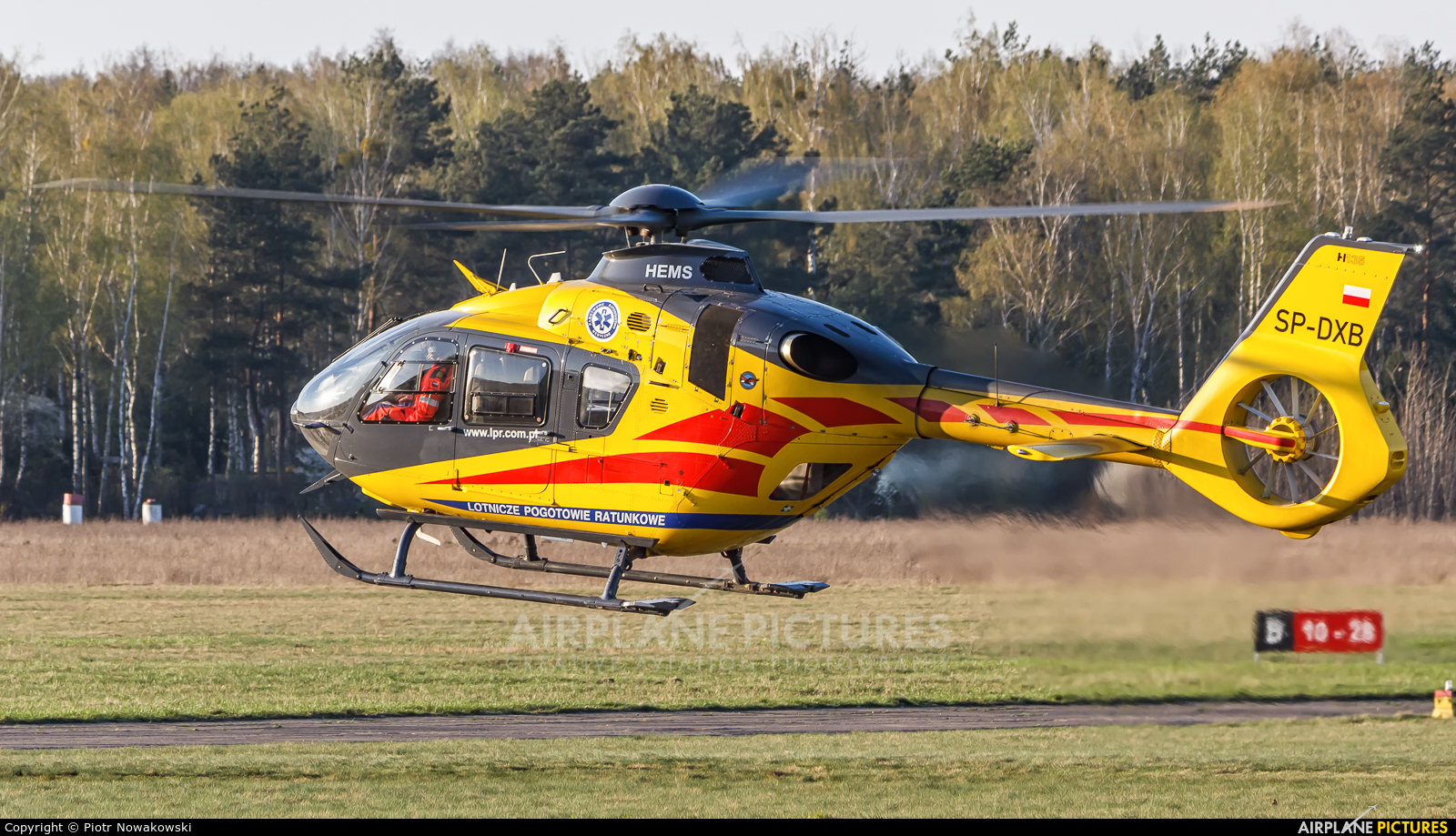 Polish Medical Air Rescue - Lotnicze Pogotowie Ratunkowe SP-DXB aircraft at Warsaw - Babice