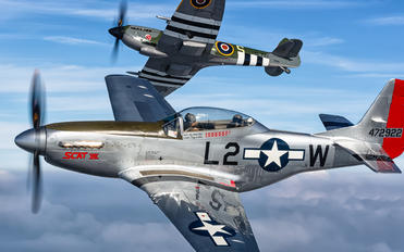 OO-RYL - Private North American F-51D Mustang