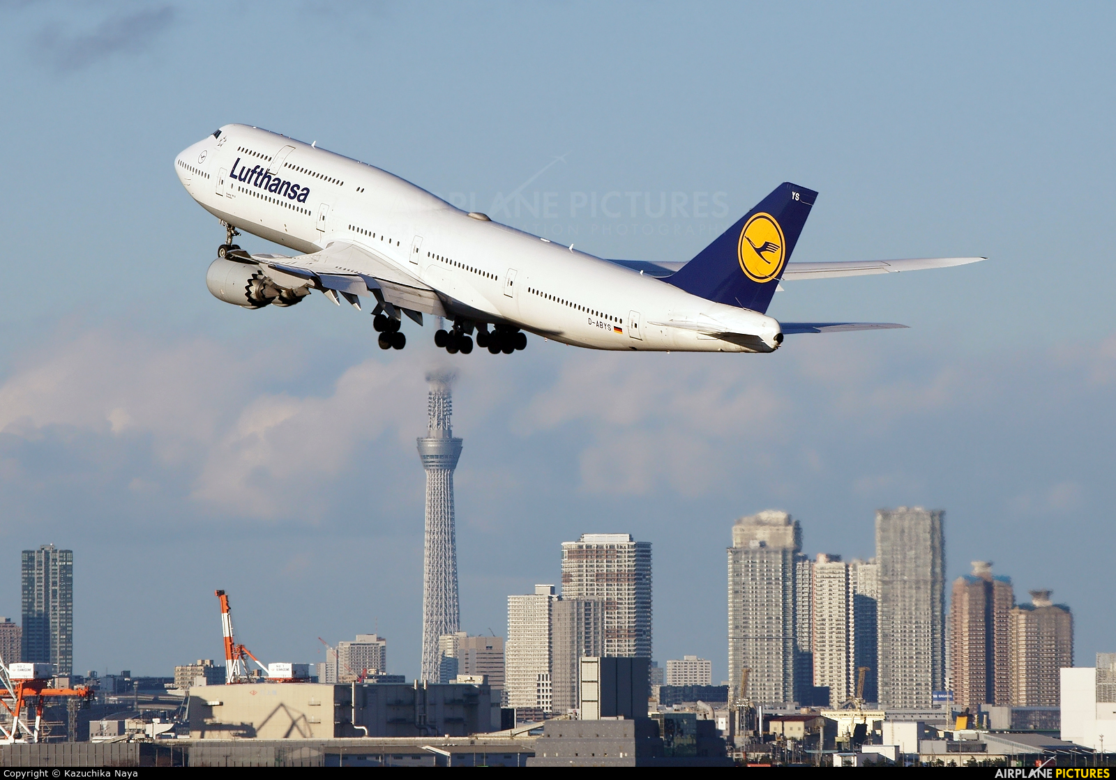 Lufthansa D-ABYS aircraft at Tokyo - Haneda Intl