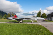 J-5017 - Switzerland - Air Force McDonnell Douglas F/A-18C Hornet aircraft