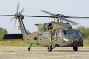 20029 - USA - Army Sikorsky H-60L Black hawk aircraft