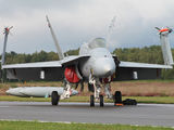 HN-416 - Finland - Air Force McDonnell Douglas F/A-18C Hornet aircraft