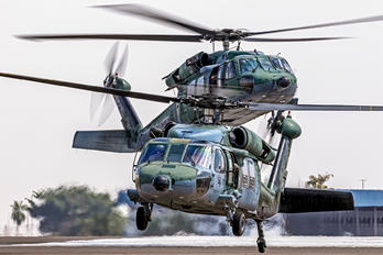 8911 - Brazil - Air Force Sikorsky H-60L Black hawk