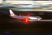 JA333J - JAL - Japan Airlines Boeing 737-800 aircraft
