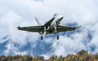 J-5025 - Switzerland - Air Force McDonnell Douglas F/A-18C Hornet aircraft