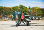 002 - Bulgaria - Air Force Sukhoi Su-25UBK aircraft