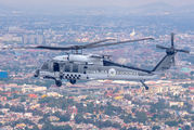 GN-110 - Guardia Nacional Sikorsky UH-60L Black Hawk aircraft