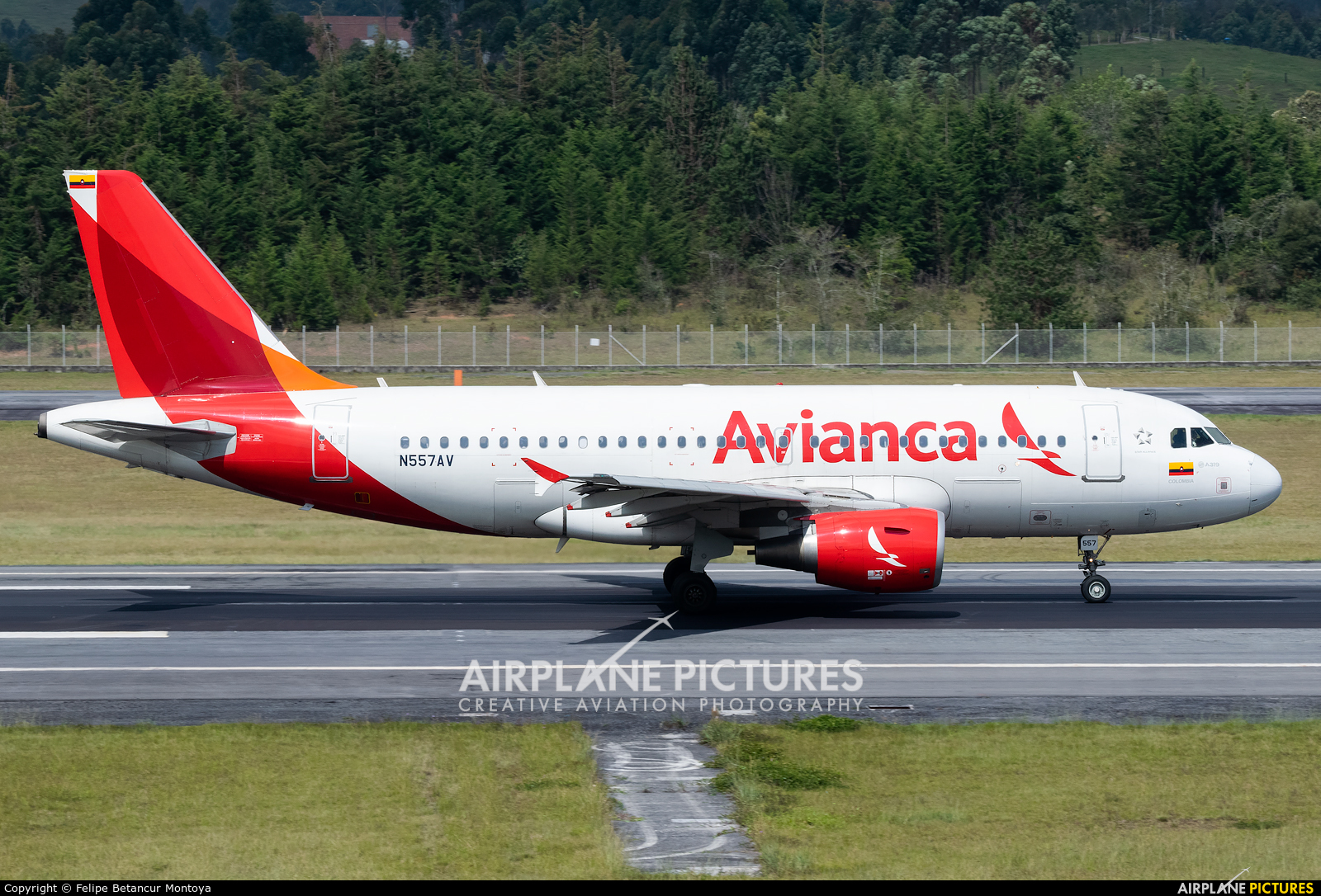 Avianca N557AV aircraft at Medellin - Jose Maria Cordova Intl