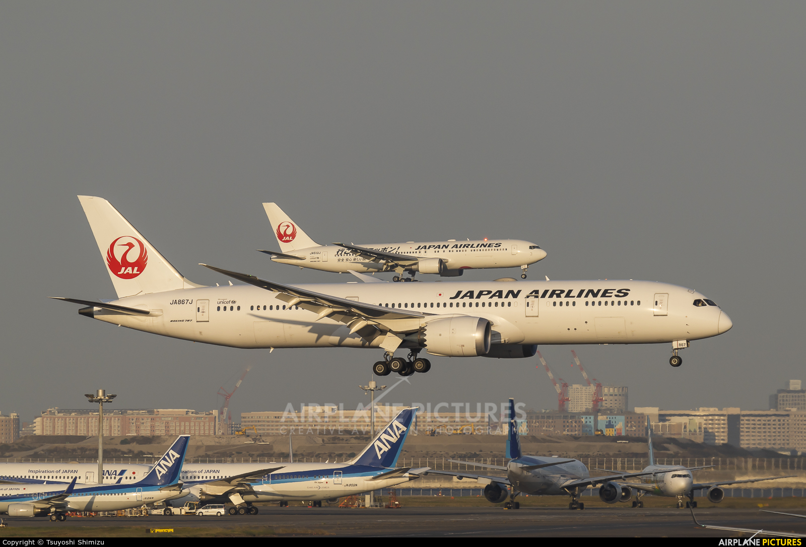 JAL - Japan Airlines JA867J aircraft at Tokyo - Haneda Intl