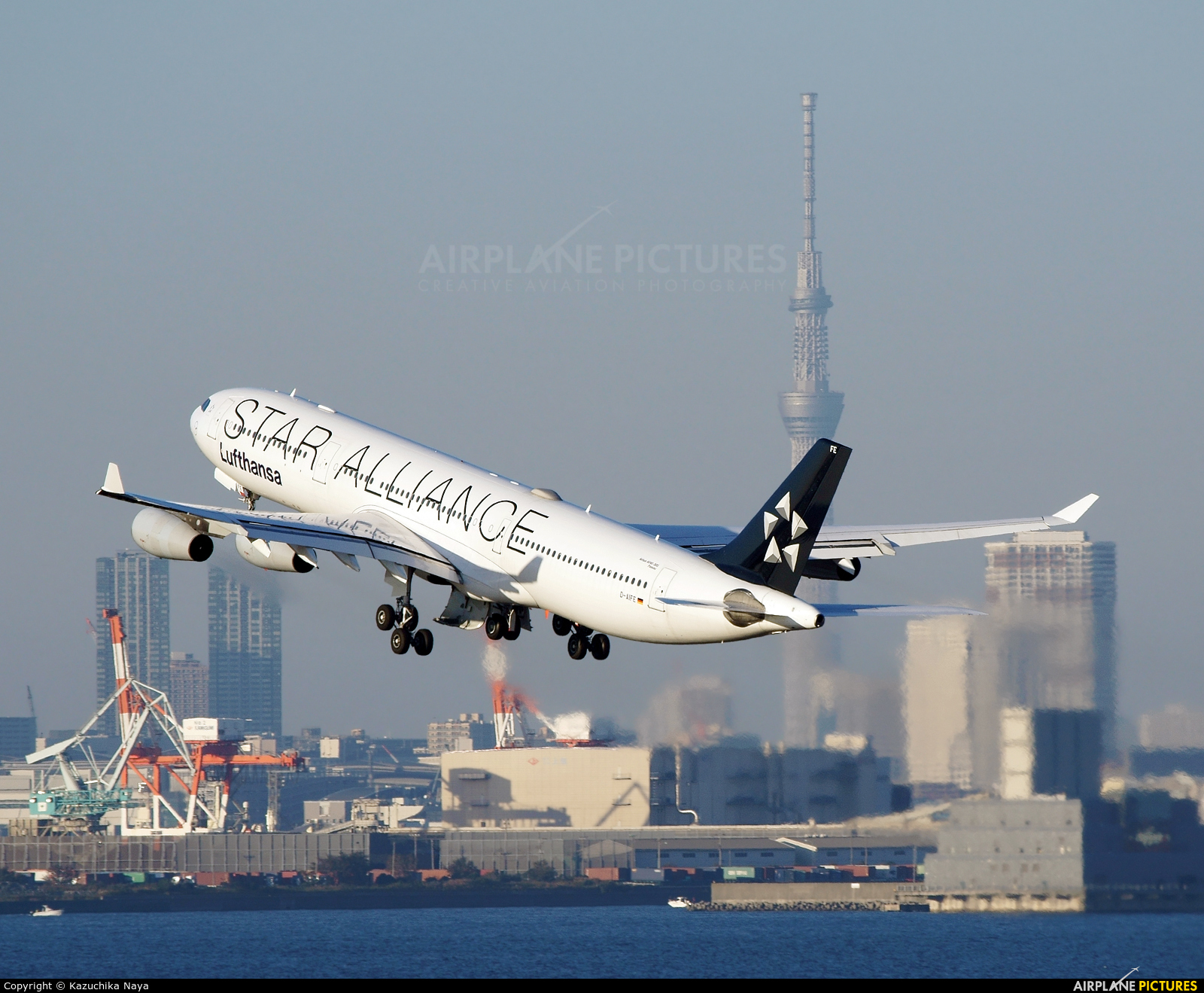 Lufthansa D-AIFE aircraft at Tokyo - Haneda Intl