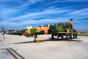 4510 - Mexico - Air Force Northrop F-5E Tiger II aircraft