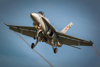 J-5005 - Switzerland - Air Force McDonnell Douglas F-18C Hornet