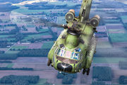 Netherlands - Air Force D-667 image