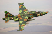 246 - Bulgaria - Air Force Sukhoi Su-25K aircraft