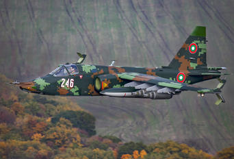 246 - Bulgaria - Air Force Sukhoi Su-25K
