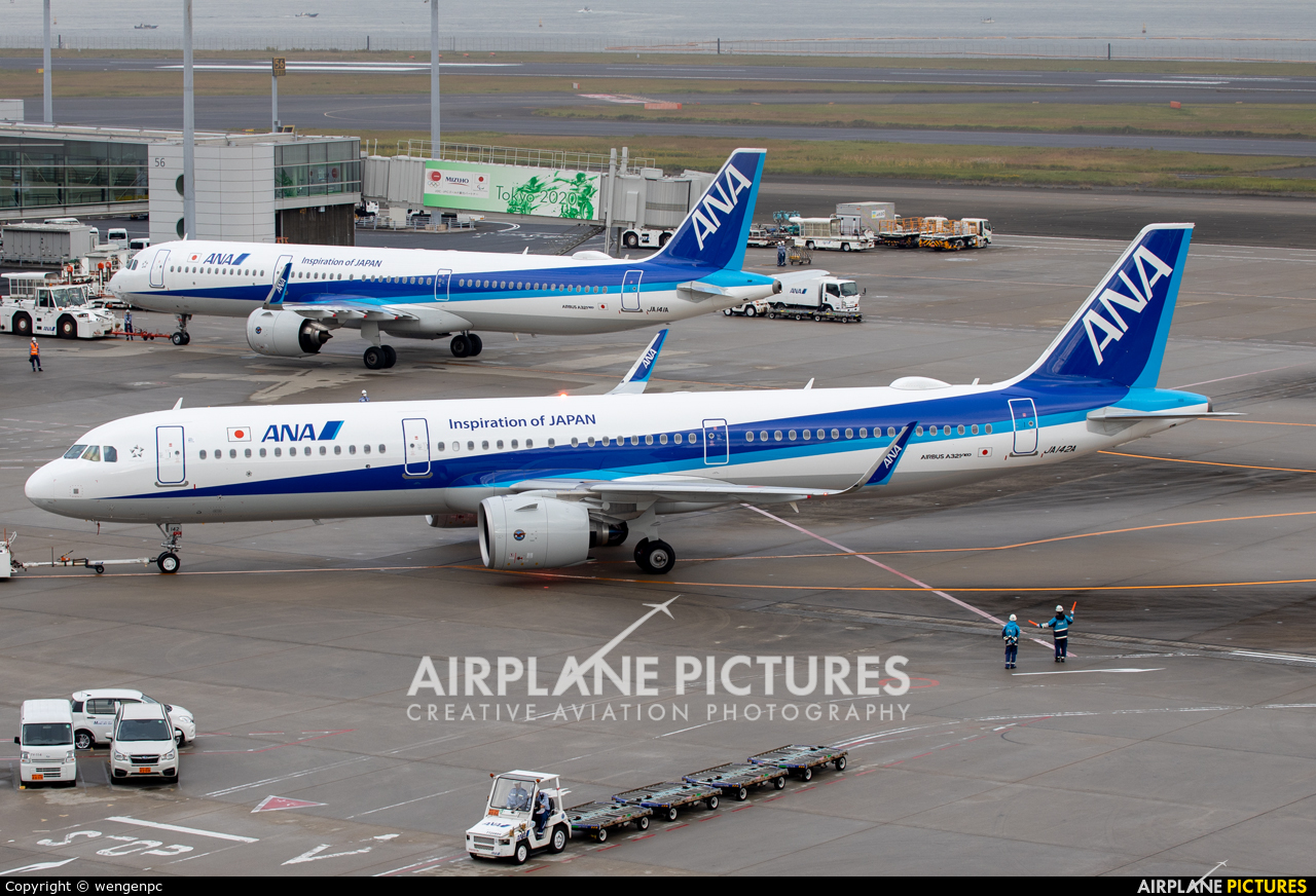 ANA - All Nippon Airways JA142A aircraft at Tokyo - Haneda Intl