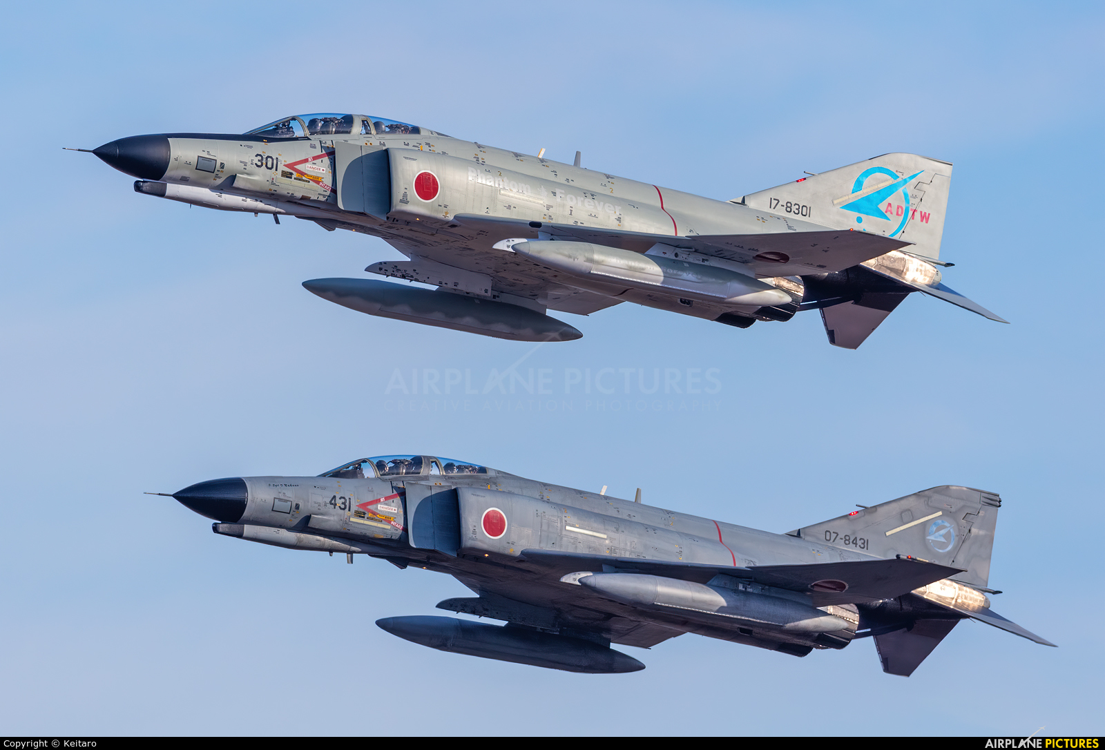 Japan - Air Self Defence Force 17-8301 aircraft at Gifu AB