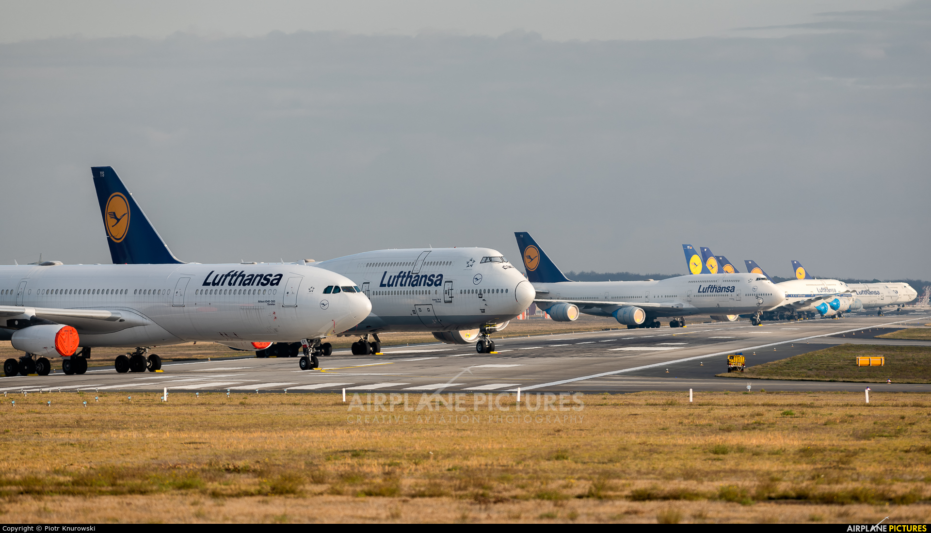 Lufthansa - aircraft at Frankfurt