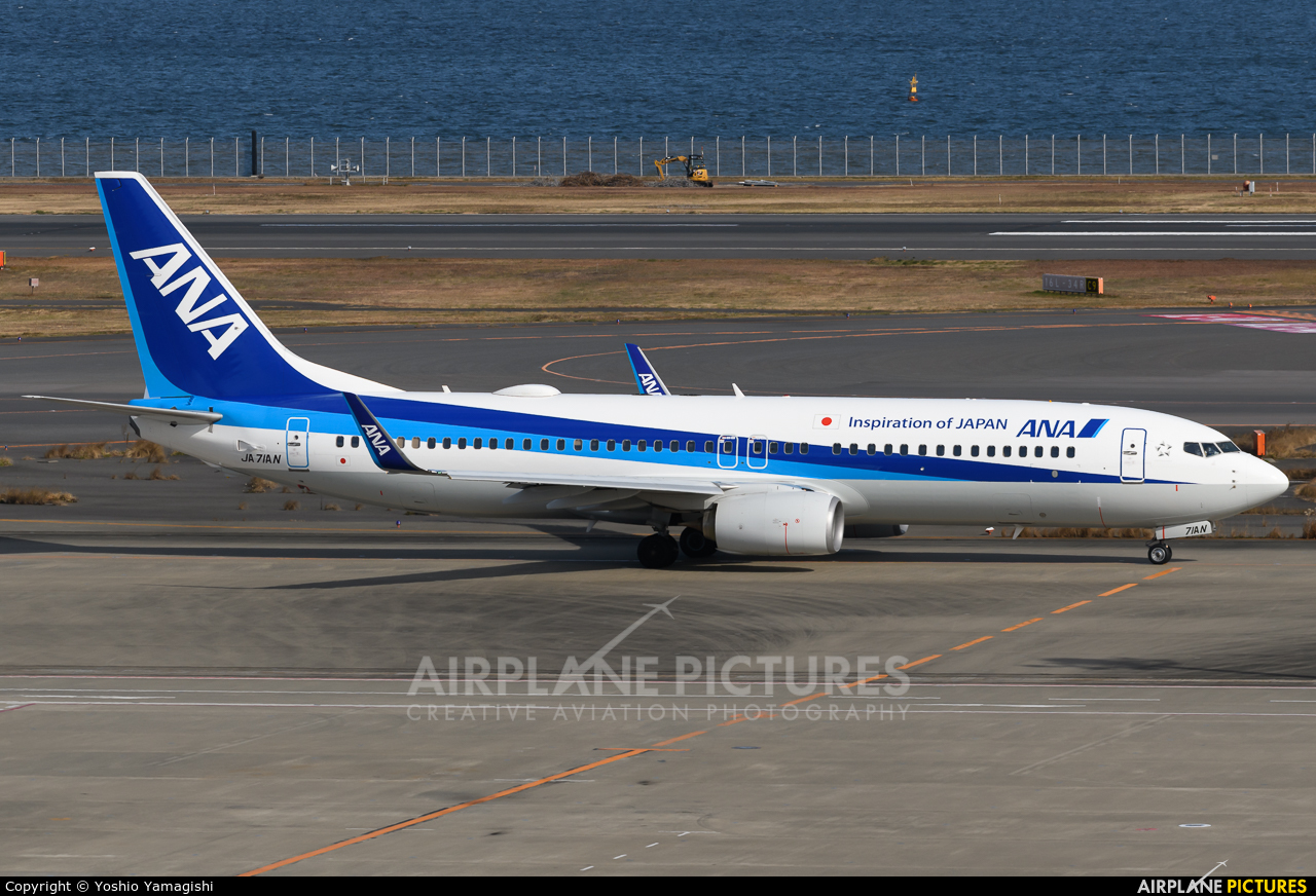 JA71AN - ANA - All Nippon Airways Boeing 737-800 at Tokyo - Haneda 