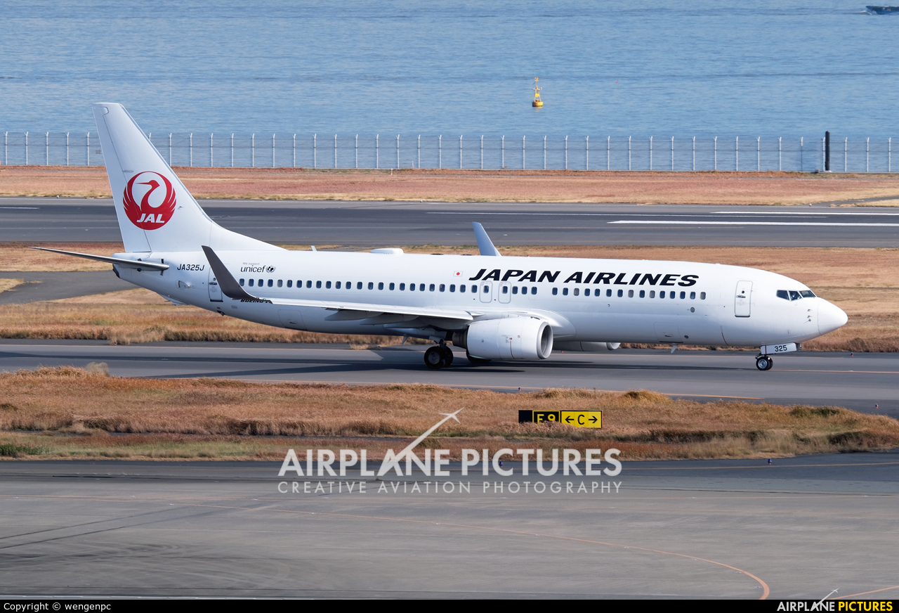 JAL - Japan Airlines JA325J aircraft at Tokyo - Haneda Intl