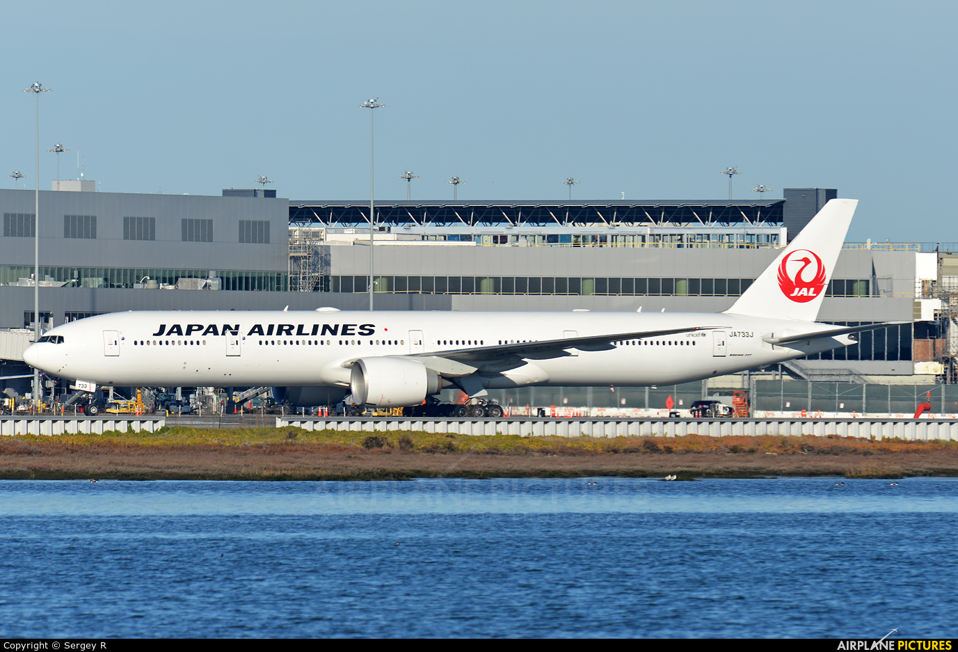 JAL - Japan Airlines JA733J aircraft at San Francisco Intl