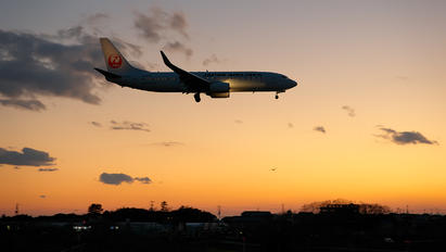 JA316J - JAL - Japan Airlines - Airport Overview - Photography Location