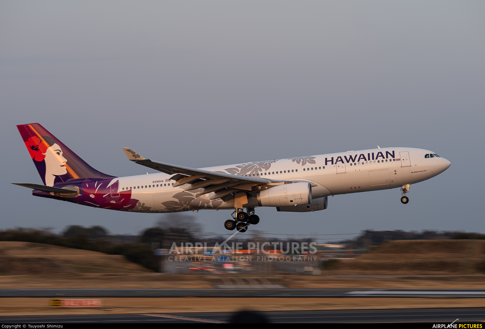 Hawaiian Airlines N395HA aircraft at Tokyo - Narita Intl