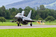 Germany - Air Force 31+44 image