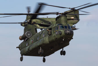 D-664 - Netherlands - Air Force Boeing CH-47D Chinook