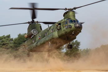 D-664 - Netherlands - Air Force Boeing CH-47D Chinook